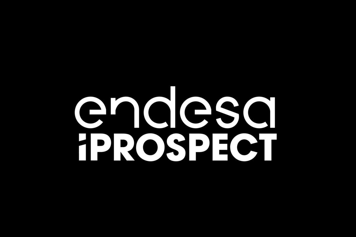 Case Study | Endesa & Iprospect
