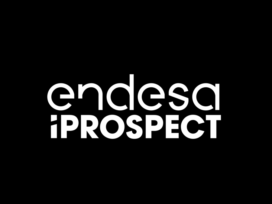 Case Study | Endesa & Iprospect